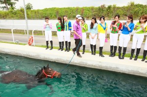 Swimming horse