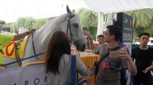 Dester Singapore Gold Cup