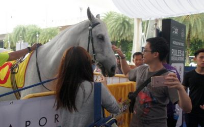 Singapore Turf Club Road Show 2016