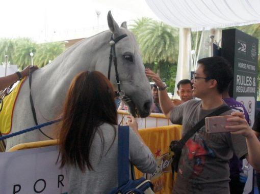 Singapore Turf Club Road Show 2016