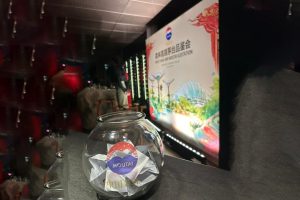 Forest High-end Moutai Gustation