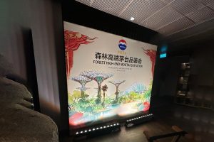 Forest High-end Moutai Gustation